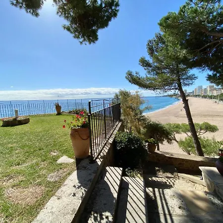 公寓 Cavall Bernat Beach