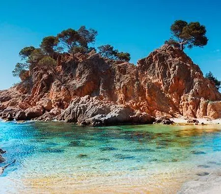 Cavall Bernat Beach 普拉加德阿罗