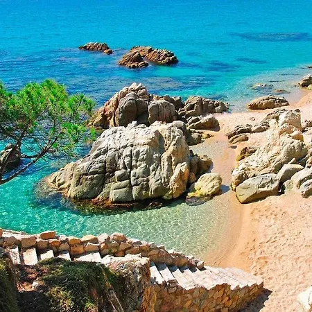 Cavall Bernat Beach 公寓 普拉加德阿罗