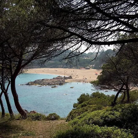 Cavall Bernat Beach 公寓 普拉加德阿罗