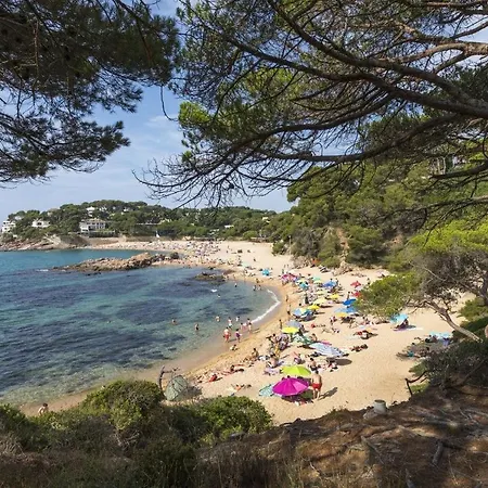 Cavall Bernat Beach *